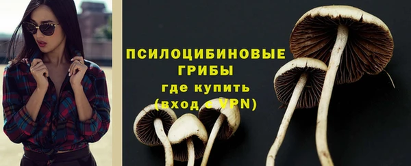 твердый Костерёво