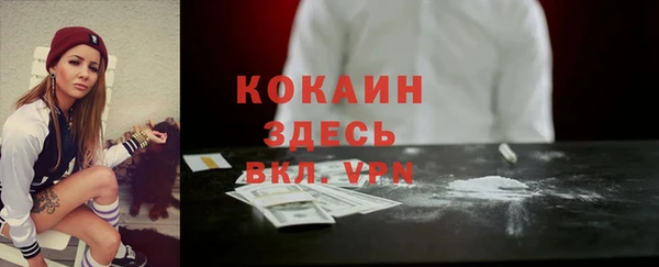 тгк Корсаков