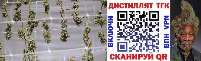 ТГК вейп Ленинск-Кузнецкий