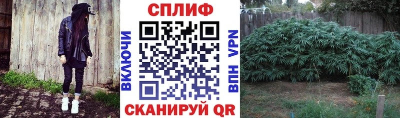 Конопля тримм  Купить закладки  Ленинск-Кузнецкий 